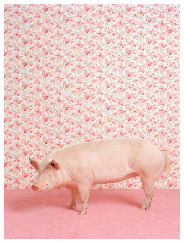 Pig On Pink Wall Art-Wall Art-Jack and Jill Boutique