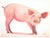 Pink Pig Posing Wall Art-Wall Art-Jack and Jill Boutique