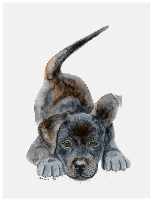 Playful Puppy Portrait Wall Art-Wall Art-Jack and Jill Boutique