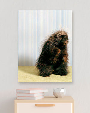 Porcupine On Gray Wall Art-Wall Art-Jack and Jill Boutique