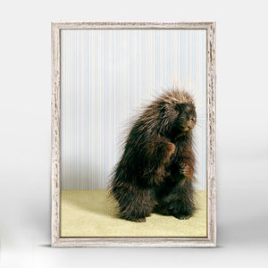 Porcupine On Gray - Mini Framed Canvas-Mini Framed Canvas-Jack and Jill Boutique