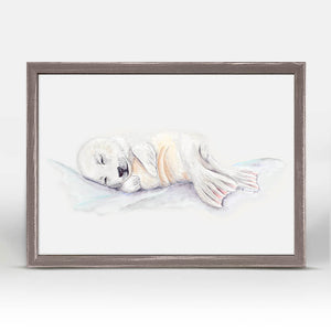 Seal Pup Portrait - Mini Framed Canvas-Mini Framed Canvas-Jack and Jill Boutique