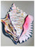 She Sells Seashells - Conch Wall Art-Wall Art-Jack and Jill Boutique