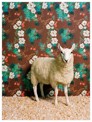 Sheep On Floral Pattern Wall Art-Wall Art-Jack and Jill Boutique