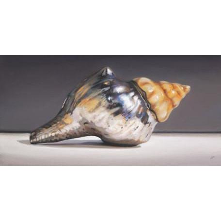 Silver Shell | Canvas Wall Art-Canvas Wall Art-Jack and Jill Boutique