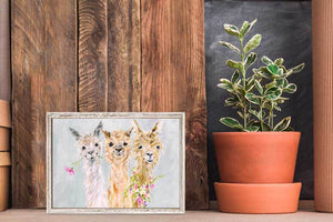 Sweet Alpacas Mini Framed Canvas-Mini Framed Canvas-Jack and Jill Boutique