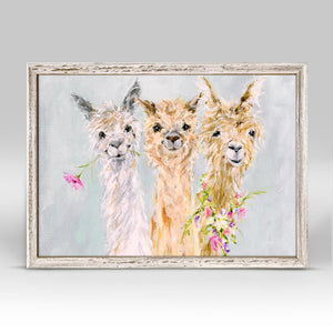 Sweet Alpacas Mini Framed Canvas-Mini Framed Canvas-Jack and Jill Boutique