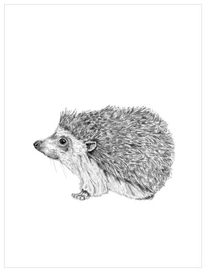 The Hedgehog's Good Side Wall Art-Wall Art-Jack and Jill Boutique