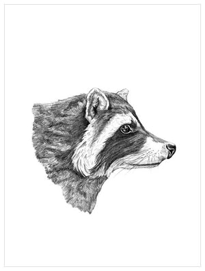 The Raccoon's Good Side Wall Art-Wall Art-Jack and Jill Boutique