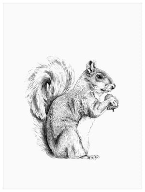 The Squirrel's Good Side Wall Art-Wall Art-Jack and Jill Boutique