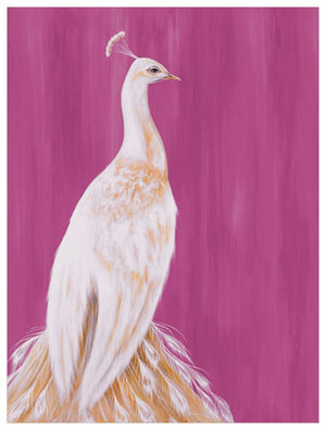 White Peacock on Raspberry Wall Art-Wall Art-Jack and Jill Boutique